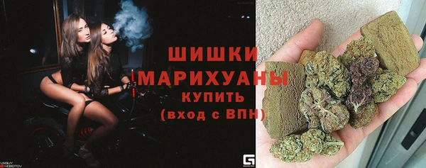 стаф Нефтегорск