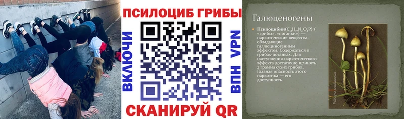 Галлюциногенные грибы ЛСД  закладки  Эртиль 